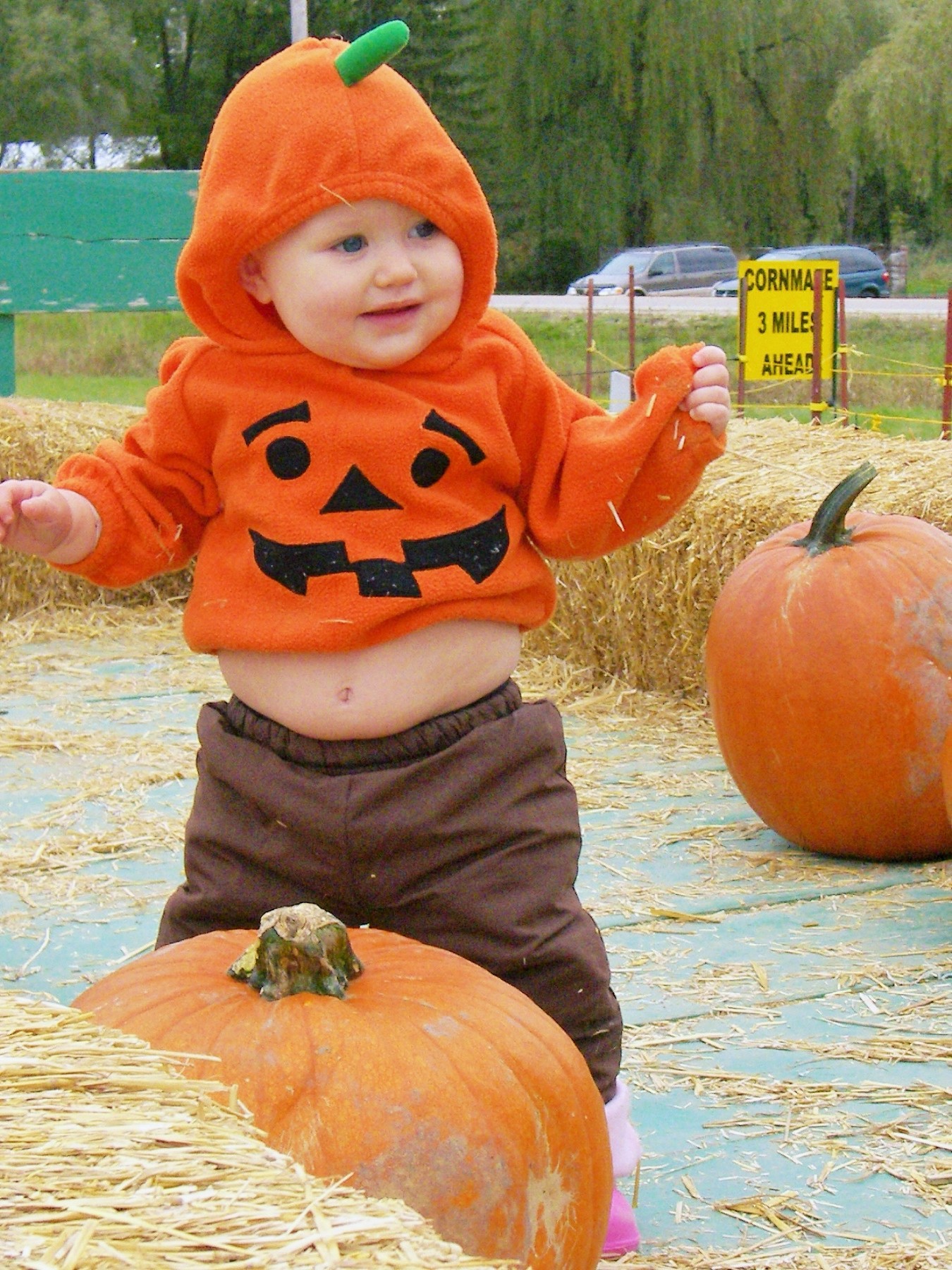 Baby in Pumpkin Costume - The Elegant Farmer