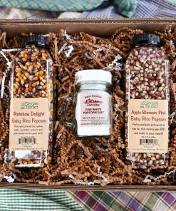 Gourmet Little Popper Popcorn Gift Box (BP3)