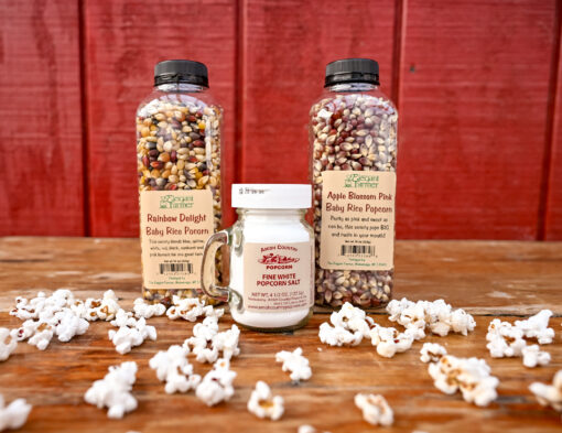 Gourmet Little Popper Popcorn Gift (BP3)