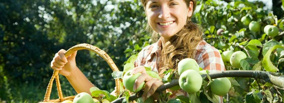 The Elegant Farmer
