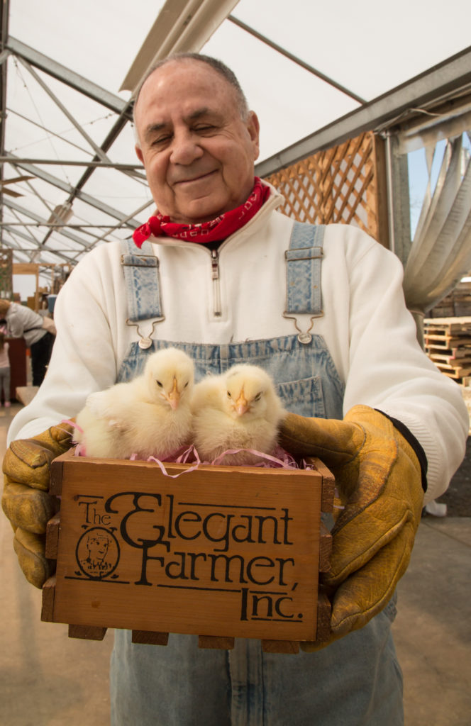 The Elegant Farmer